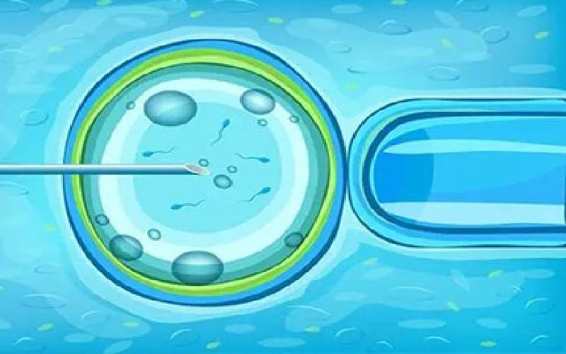 海口哪家医院做试管代生